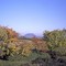 la Rocca di Cavour, in autunno, dalla strada per Bagnolo
