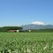 BARGE: pianura agricola ai piedi del monte Bracco