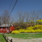 New  Jersey