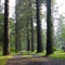 east millstone cemetary