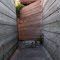 Cattle Ramp