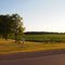 Farmer's field