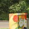 "Flowers II" Traffic Control Box