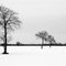 Inverno