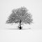 L'Albero.