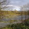 Autunno sulle rive dell'Orba (AL)