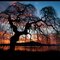 A new day has come_ Honorable Mention february 2011 NPC_ Thank you so much PANORAMIO FRIENDS