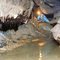Avventura Speleologica nelle Grotte del Caudano CN -  circa 10 kg fa -