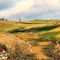 Carrù - Strada Provinciale  12 - prima di arrivare ad Alba una panoramica tra i vigneti!