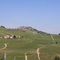 I VIGNETI DELLE LANGHE
