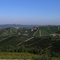 Barbaresco