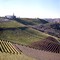 Vigneti