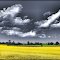CLOUDS