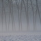 Nebbia