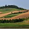 #95 NCP Novembre 2012 - Panorama monferrino