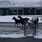 SUDBURY  CASINO