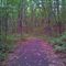 Butler Township Community Park