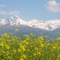 Il Mucrone da Biella