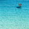 Tremiti: acqua azzurra
