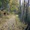 Crescent Lake Trail