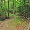 Ramapo Mtn State Forest