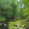 Pequannock River
