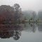 Darlington County Park