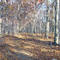 Hofstra Park