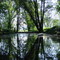 WalKill RIver