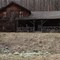 Woodchuck Lodge