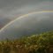 Rainbow in Grand Gorge, NY