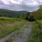 Bragg Hollow