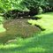 Tomahawk Lake Park