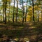 Seven Hill Trail