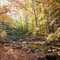 Kakiat Trail
