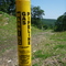 Junction of gas pipeline and Raccoon Brook Hills Trail (black blaze)