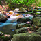Stony Brook