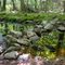 Stepping stones crossing Many Swamp Brook in Pine Meadow Trail