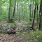 Intersection of Suffern-Bear Mountain Trail and Pine Meadow Trail