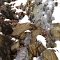 Blue Disc Trail Ice