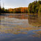 Marshland Mirror