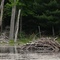 Beaver Lodge, Ashokan Reservoir, New York