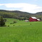 Farm in High Falls, NY