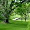 DSC01064 Foot Bridge