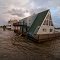 Drowned by Hurricane Sandy