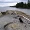 Nanaimo, Mojo,  beach