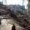 Land slide(must turn back)