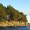 House at Dodd Narrrows, with Bald Eagle