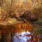 Tuckahoe River below Hunters Mills