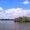 A gull island